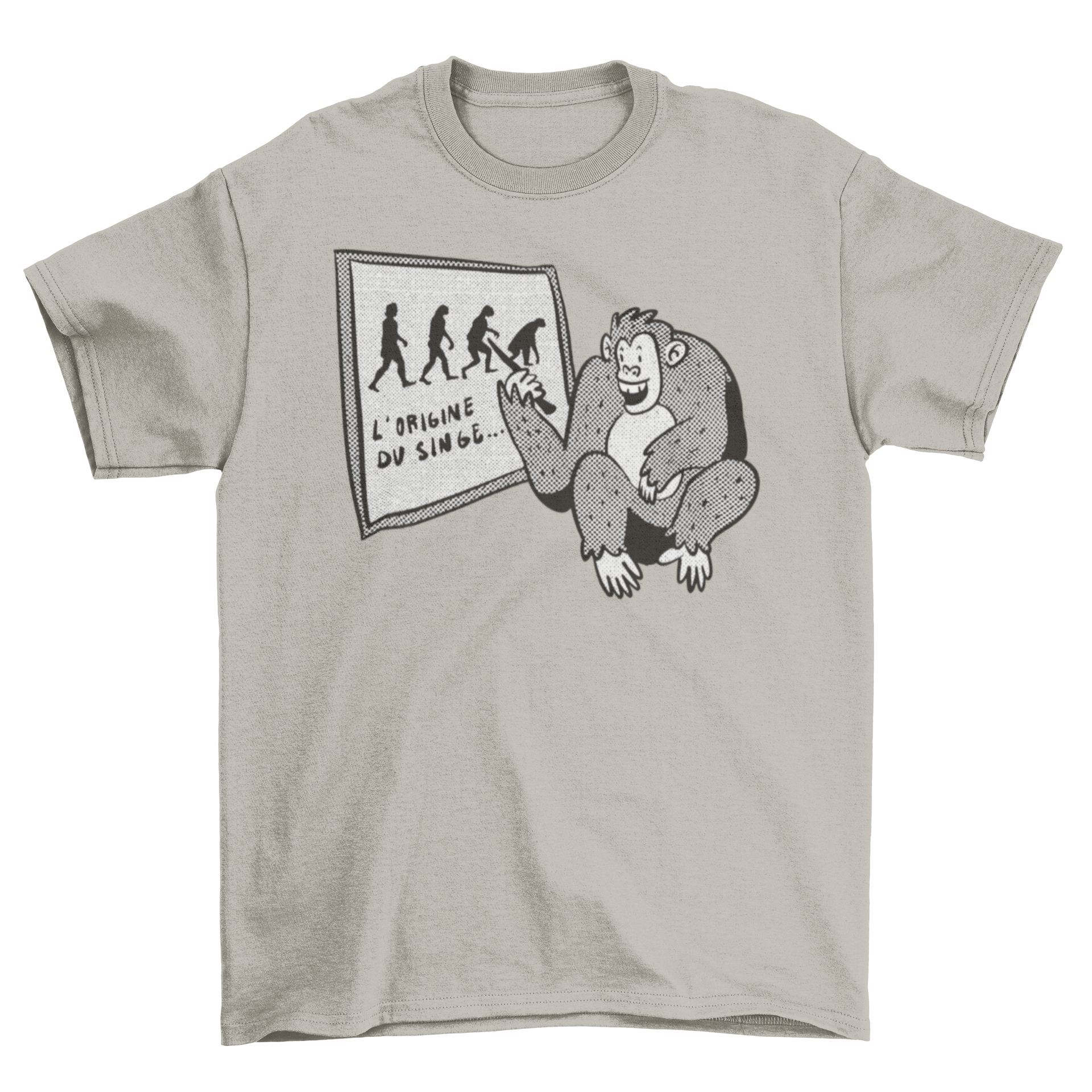 A humorous t-shirt featuring a monkey and an evolution chart, perfect for classroom settings.