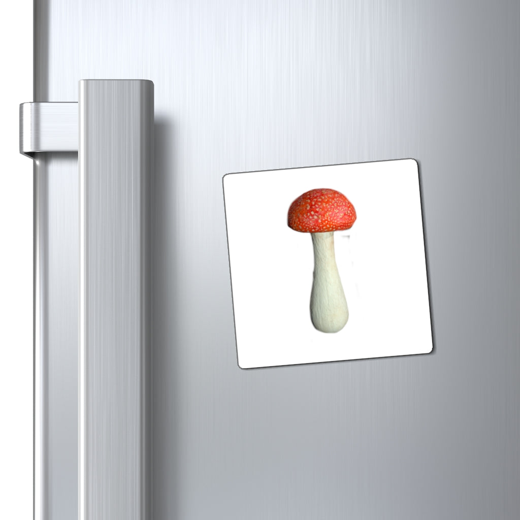 A set of colorful Mushroom Magnets displayed on a metallic surface, showcasing their strong hold and vibrant designs.