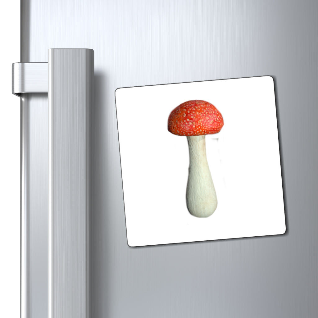 A set of colorful Mushroom Magnets displayed on a metallic surface, showcasing their strong hold and vibrant designs.