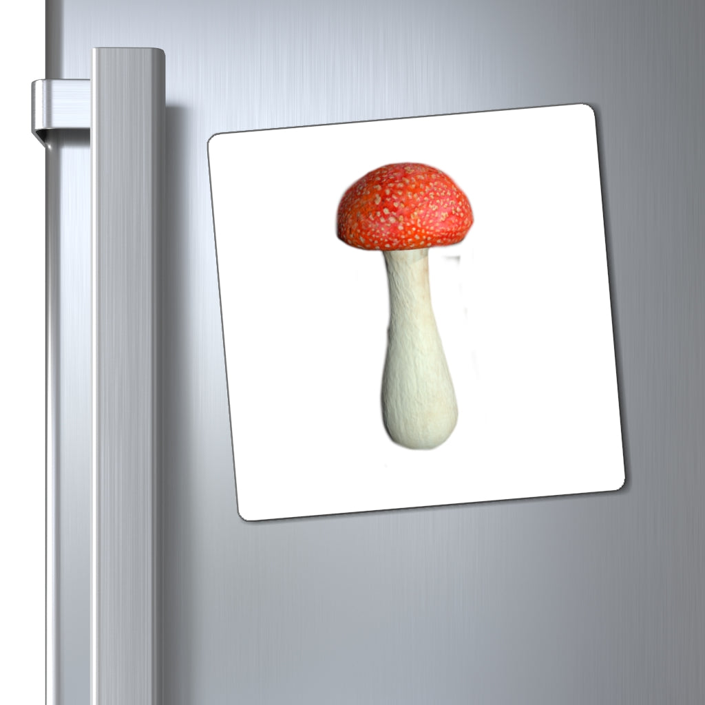 A set of colorful Mushroom Magnets displayed on a metallic surface, showcasing their strong hold and vibrant designs.