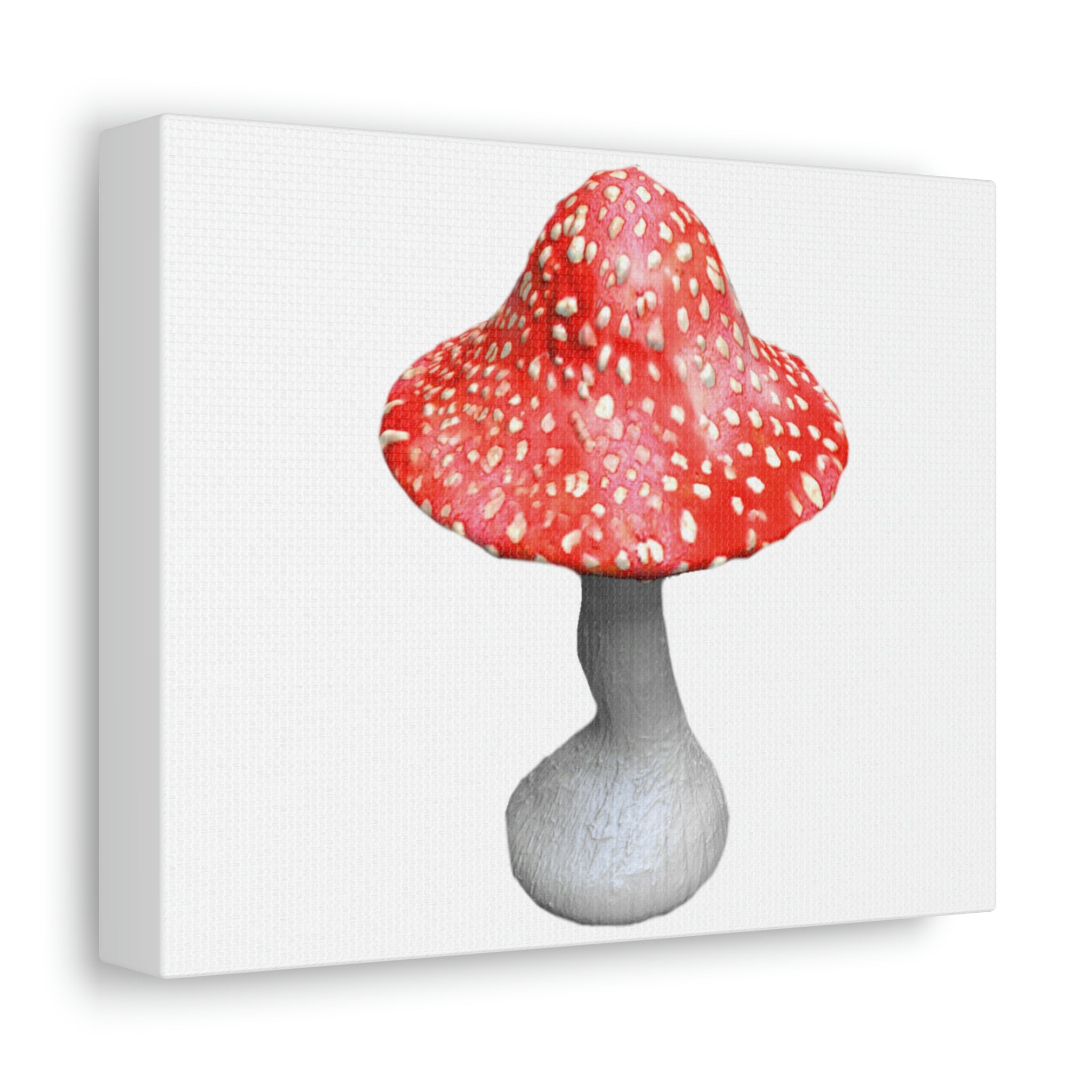 Mushroom Stretched Canvas art piece with vibrant colors and detailed print on a wooden frame, ideal for indoor decoration.