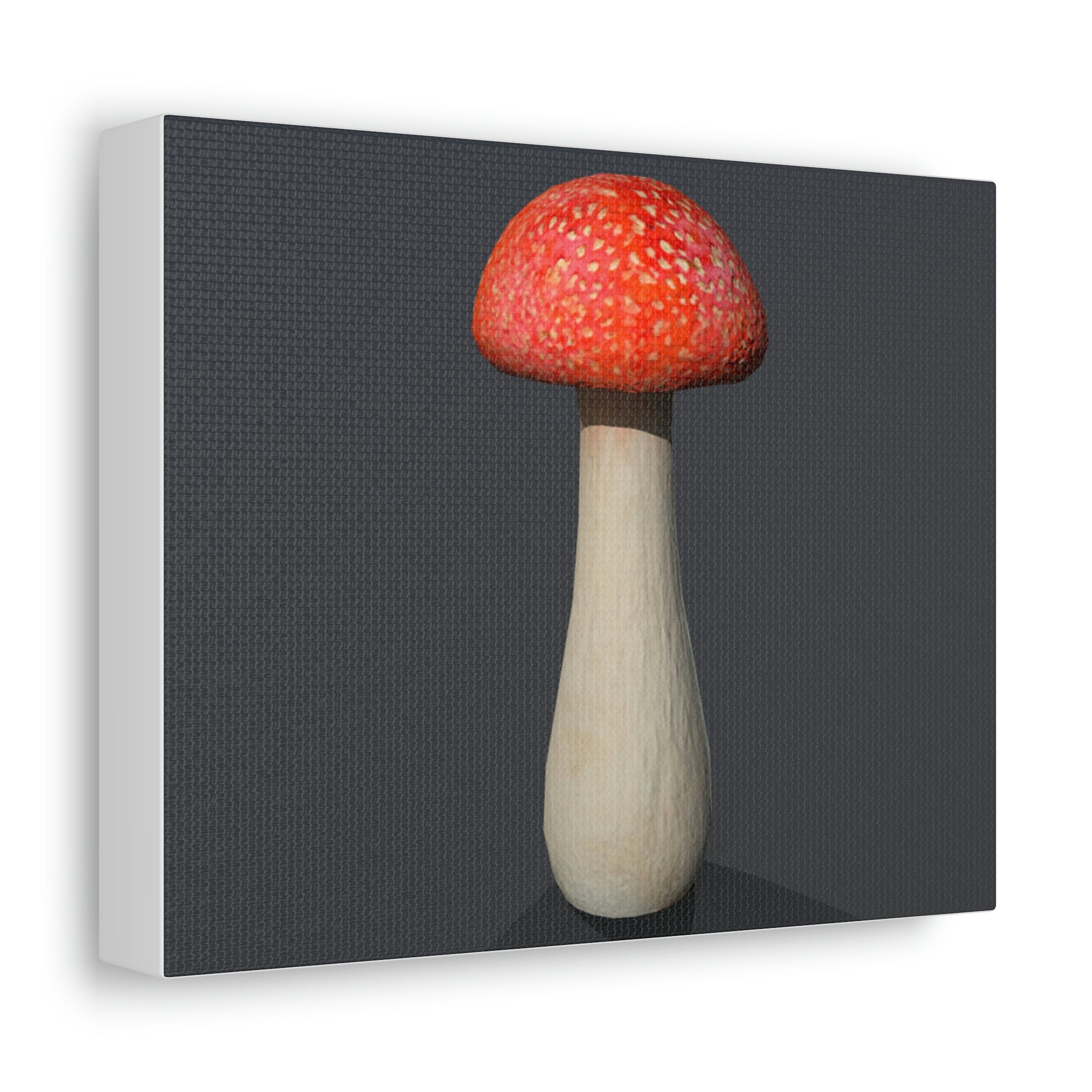 Mushroom Stretched Canvas art piece with vibrant colors and detailed print on a wooden frame, perfect for indoor decoration.