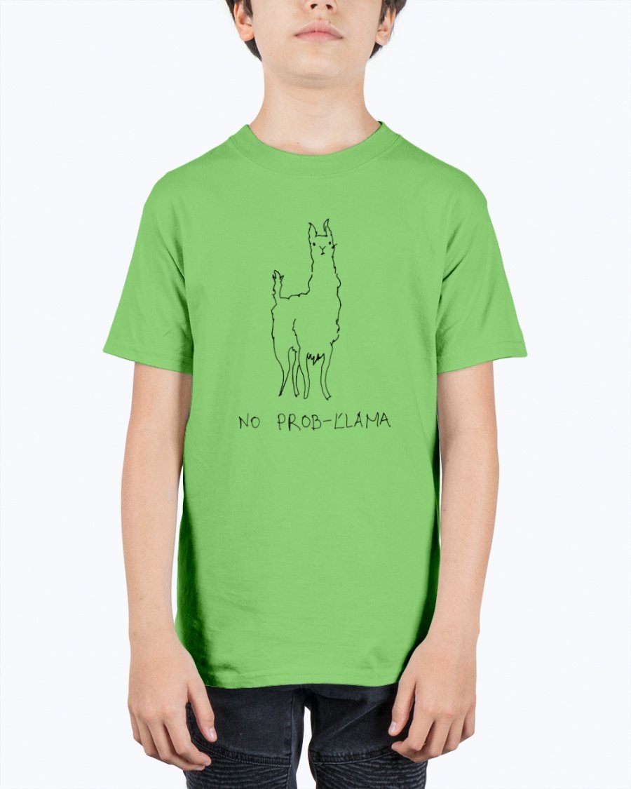 A vibrant youth tee featuring a playful llama design, made from soft preshrunk cotton, perfect for kids.