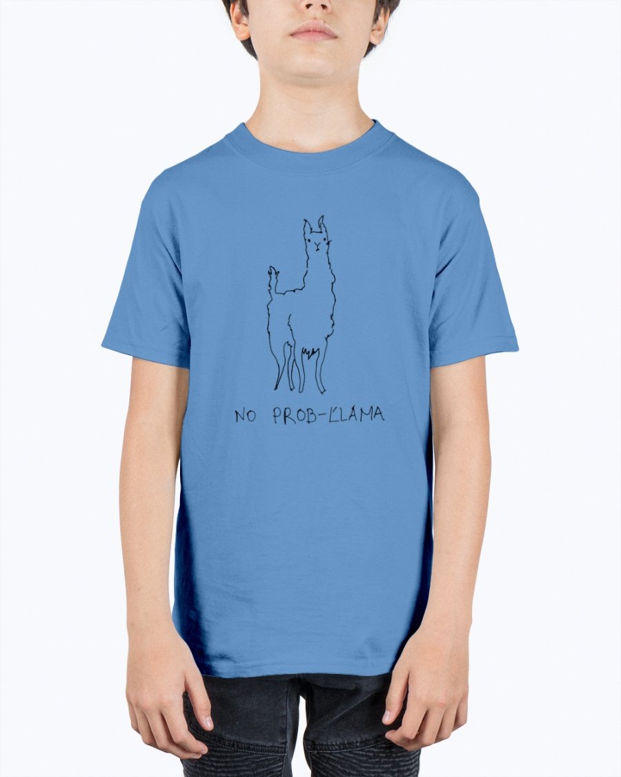 A vibrant youth tee featuring a playful llama design, made from soft preshrunk cotton, perfect for kids.