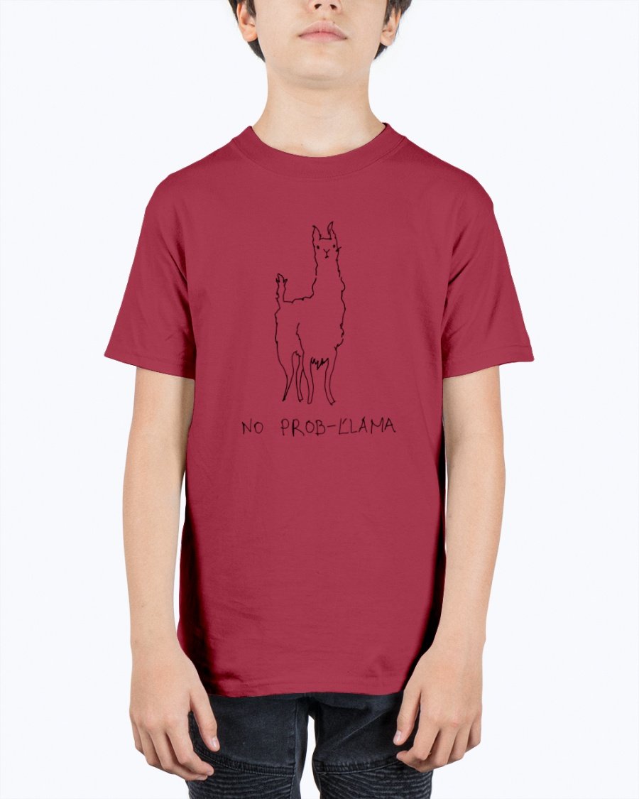 A vibrant youth tee featuring a playful llama design, made from soft preshrunk cotton, perfect for kids.