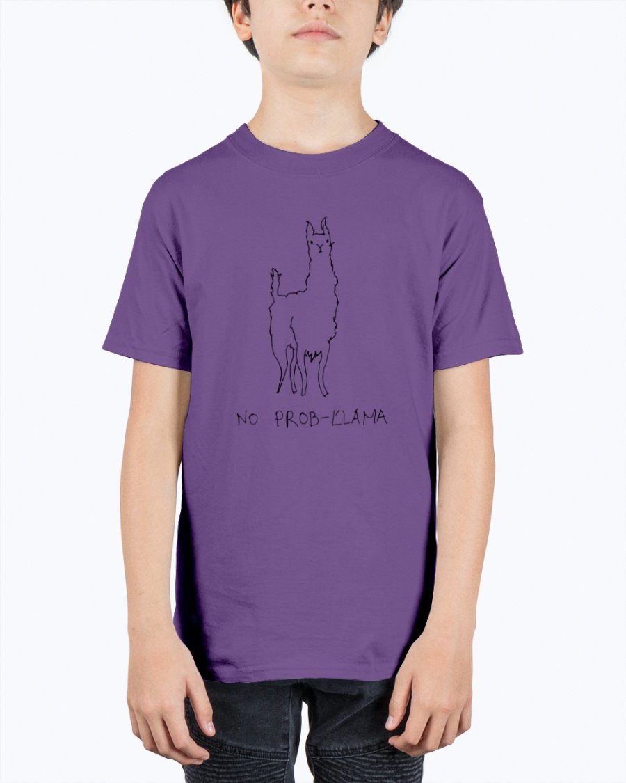 A vibrant youth tee featuring a playful llama design, made from soft preshrunk cotton, perfect for kids.