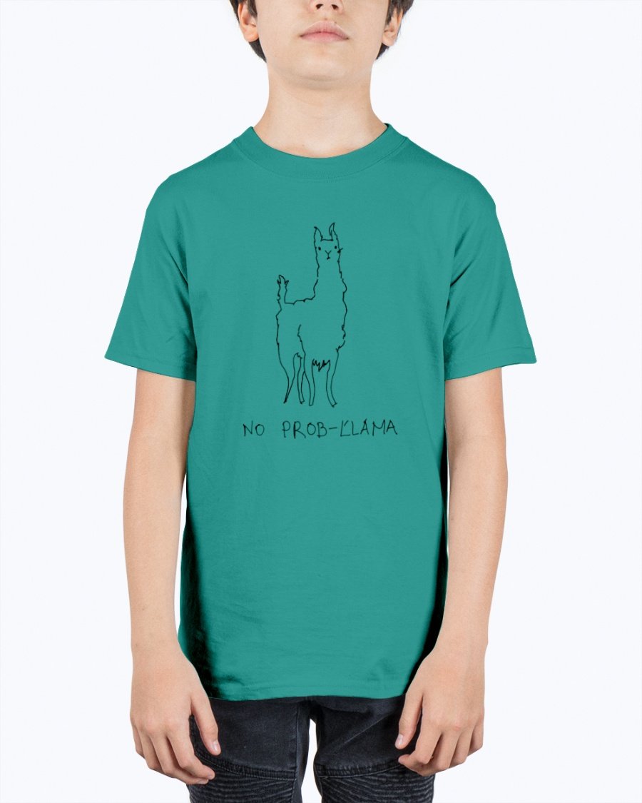 A vibrant youth tee featuring a playful llama design, made from soft preshrunk cotton, perfect for kids.