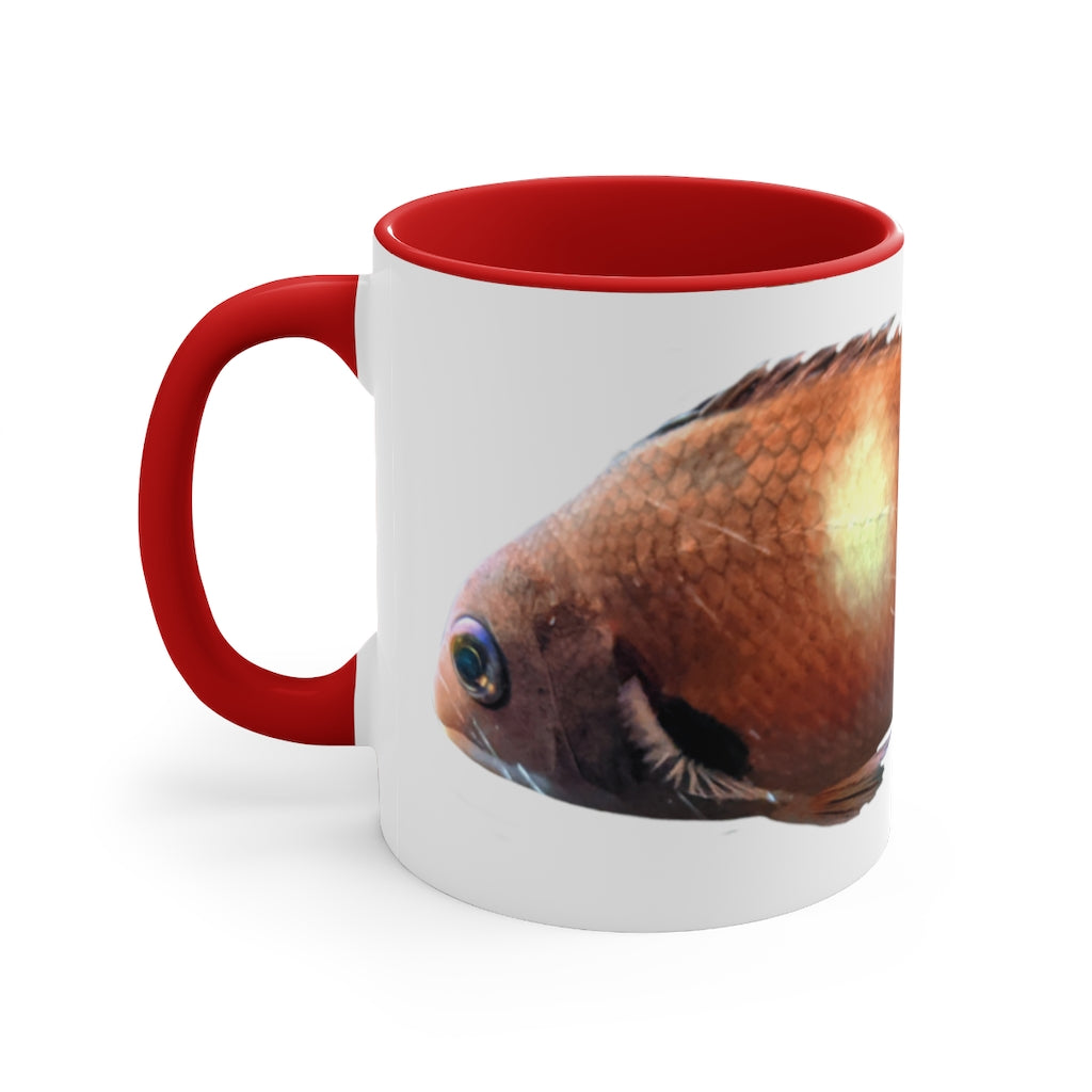 Orange Fish Accent Coffee Mug with a white ceramic body and vibrant orange interior and handle, showcasing a stylish two-tone design.