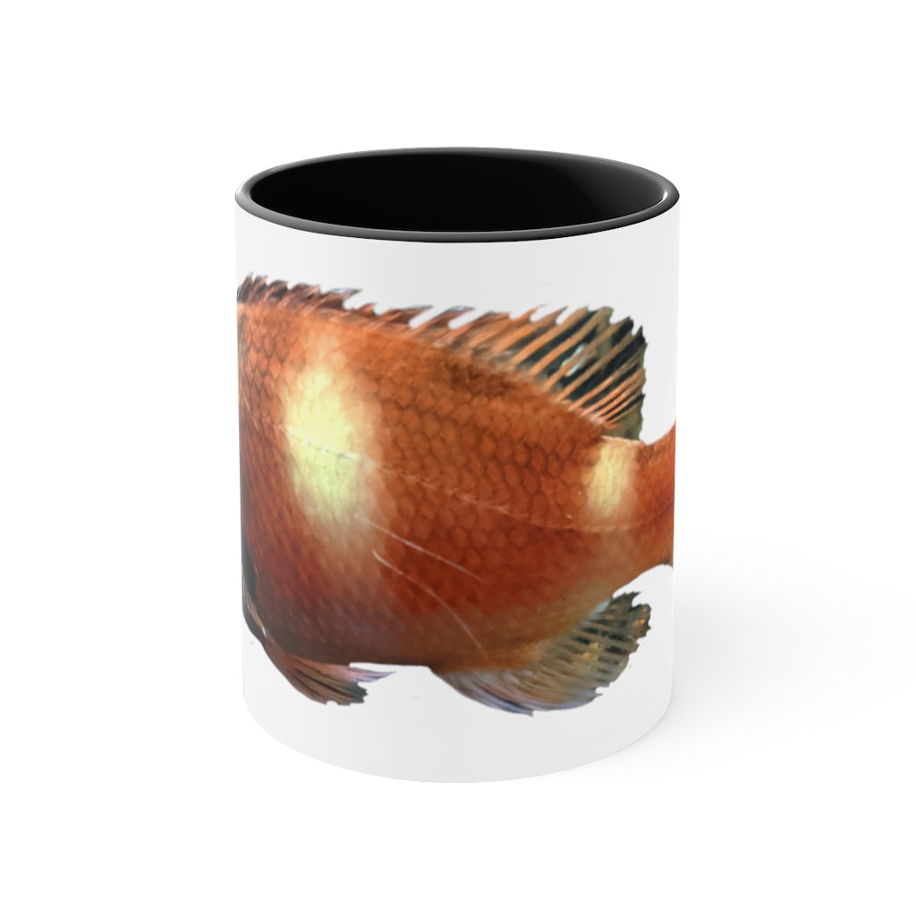 Orange Fish Accent Coffee Mug with a white ceramic body and vibrant orange interior and handle, showcasing a stylish two-tone design.