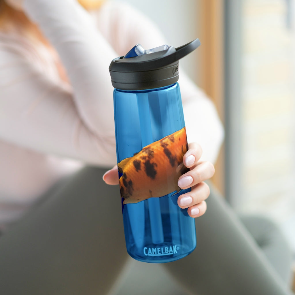 Orange Fish CamelBak Eddy® Water Bottle in 20oz and 25oz sizes, showcasing its vibrant color and ergonomic design.