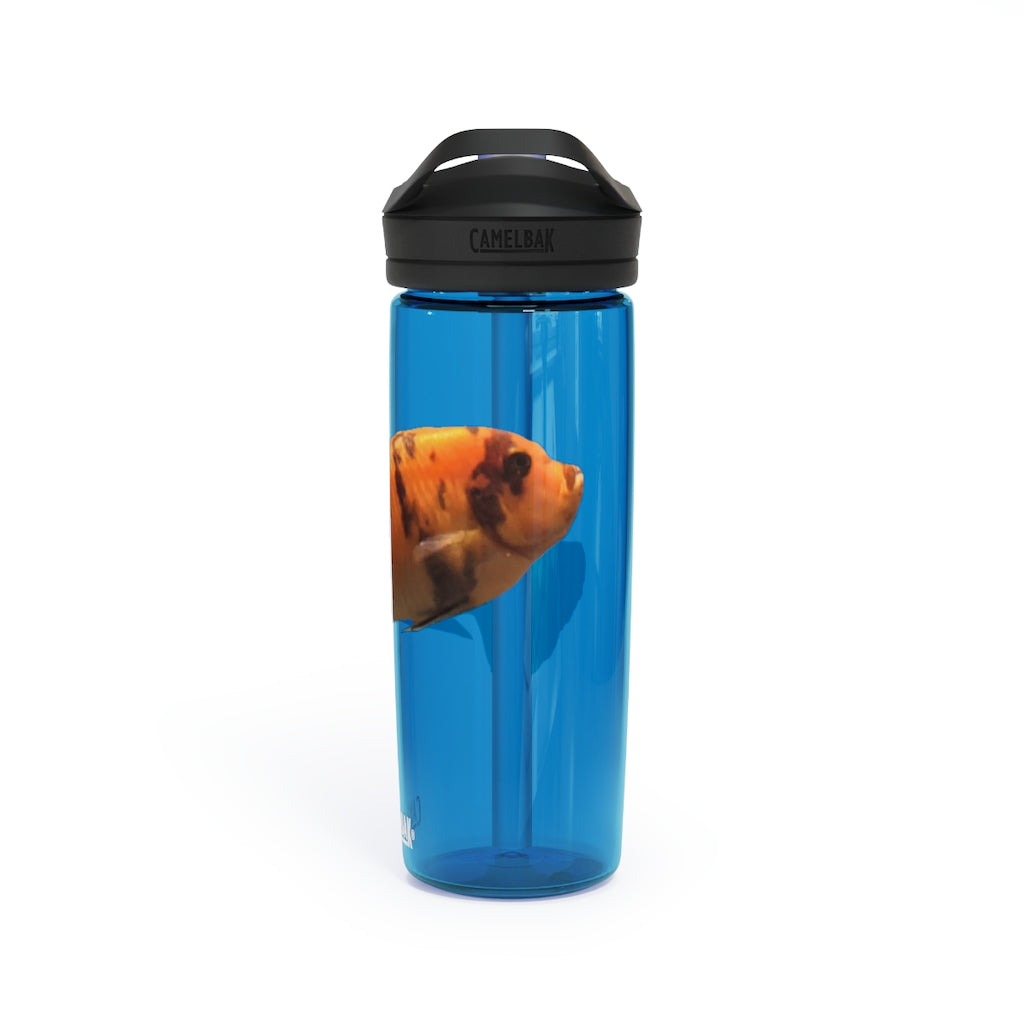 Orange Fish CamelBak Eddy® Water Bottle in 20oz and 25oz sizes, showcasing its vibrant color and ergonomic design.