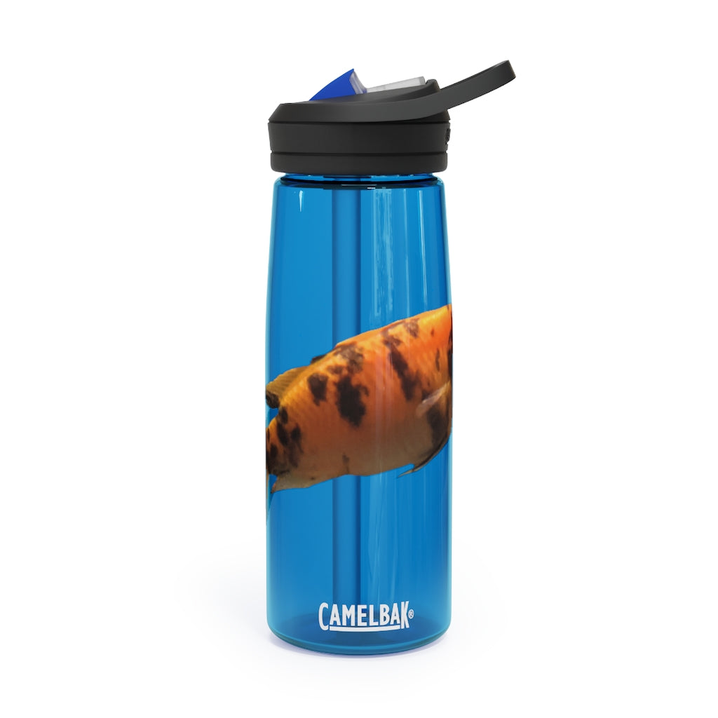 Orange Fish CamelBak Eddy® Water Bottle in 20oz and 25oz sizes, showcasing its vibrant color and ergonomic design.