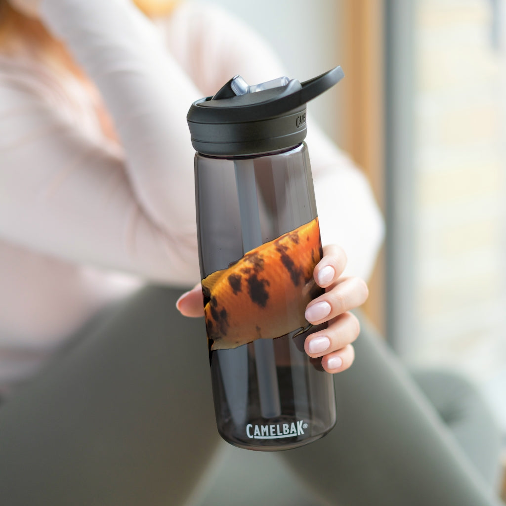 Orange Fish CamelBak Eddy® Water Bottle in 20oz and 25oz sizes, showcasing its vibrant color and ergonomic design.