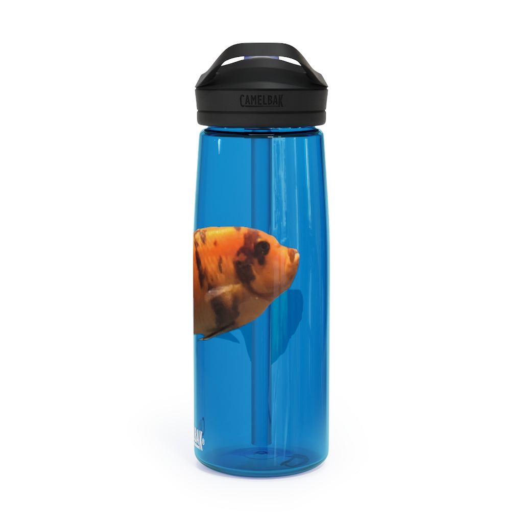 Orange Fish CamelBak Eddy® Water Bottle in 20oz and 25oz sizes, showcasing its vibrant color and ergonomic design.