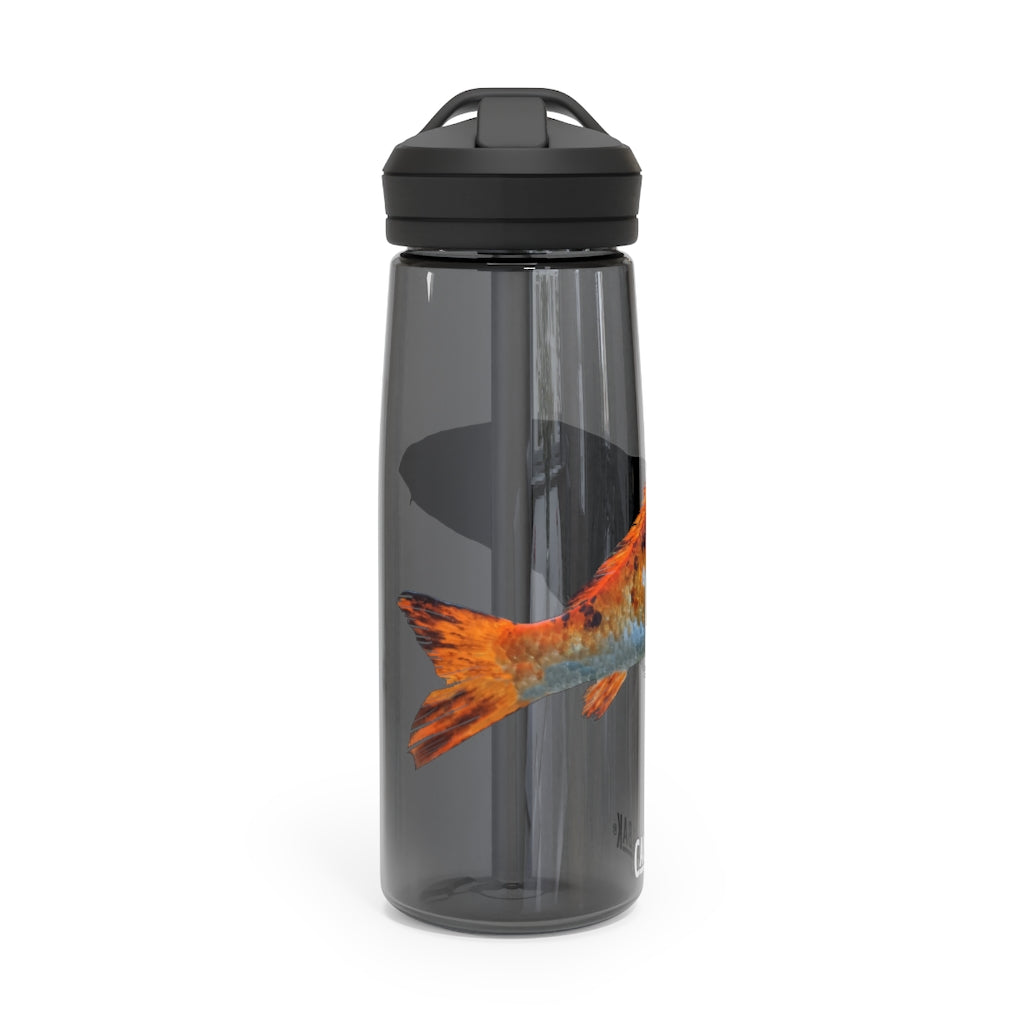 Orange Fish CamelBak Eddy® Water Bottle in 20oz and 25oz sizes, showcasing its robust design and spill-proof biting valve.