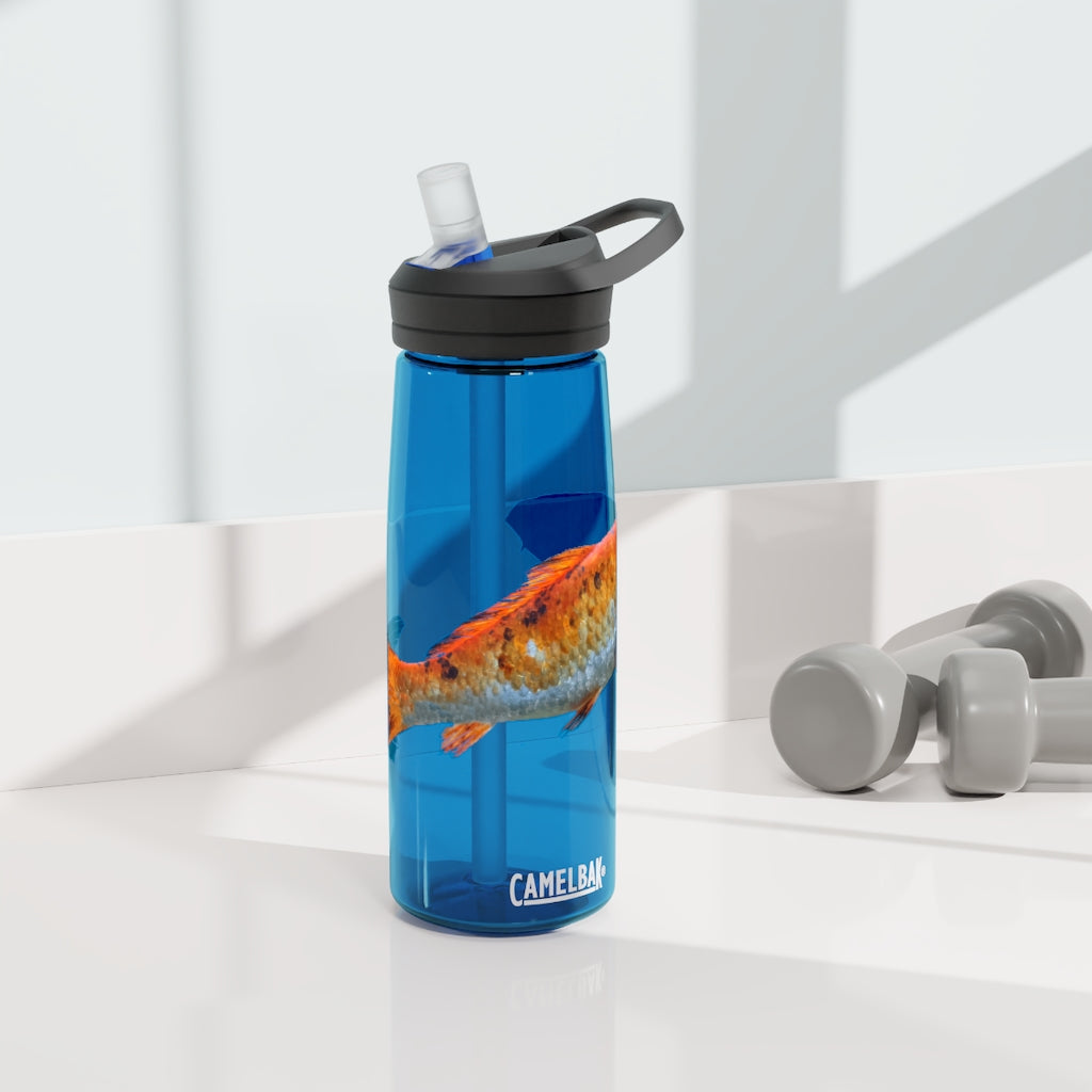 Orange Fish CamelBak Eddy® Water Bottle in 20oz and 25oz sizes, showcasing its robust design and spill-proof biting valve.