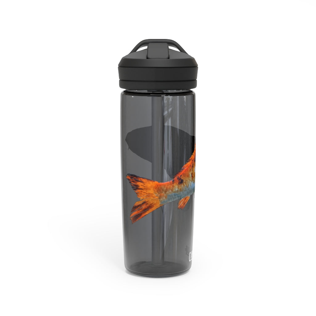 Orange Fish CamelBak Eddy® Water Bottle in 20oz and 25oz sizes, showcasing its robust design and spill-proof biting valve.