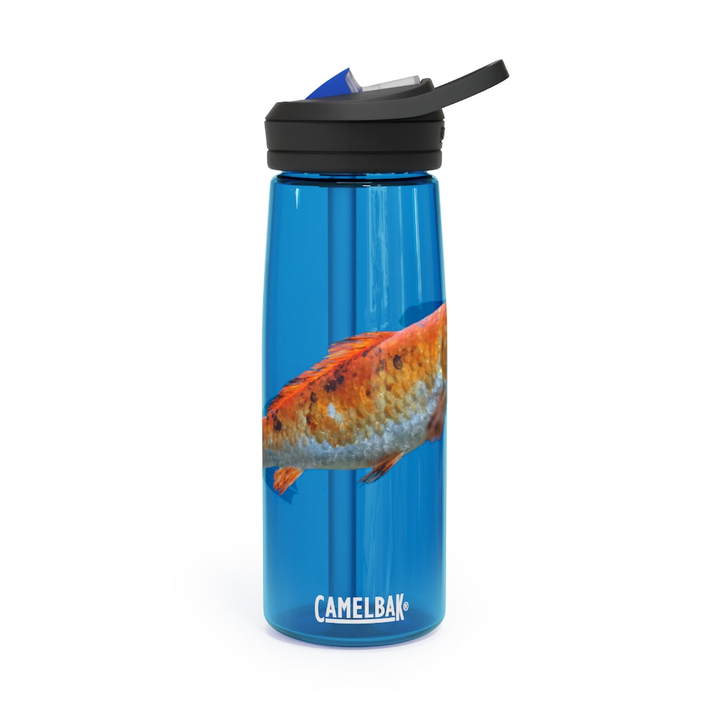 Orange Fish CamelBak Eddy® Water Bottle in 20oz and 25oz sizes, showcasing its robust design and spill-proof biting valve.