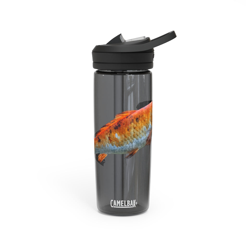 Orange Fish CamelBak Eddy® Water Bottle in 20oz and 25oz sizes, showcasing its robust design and spill-proof biting valve.