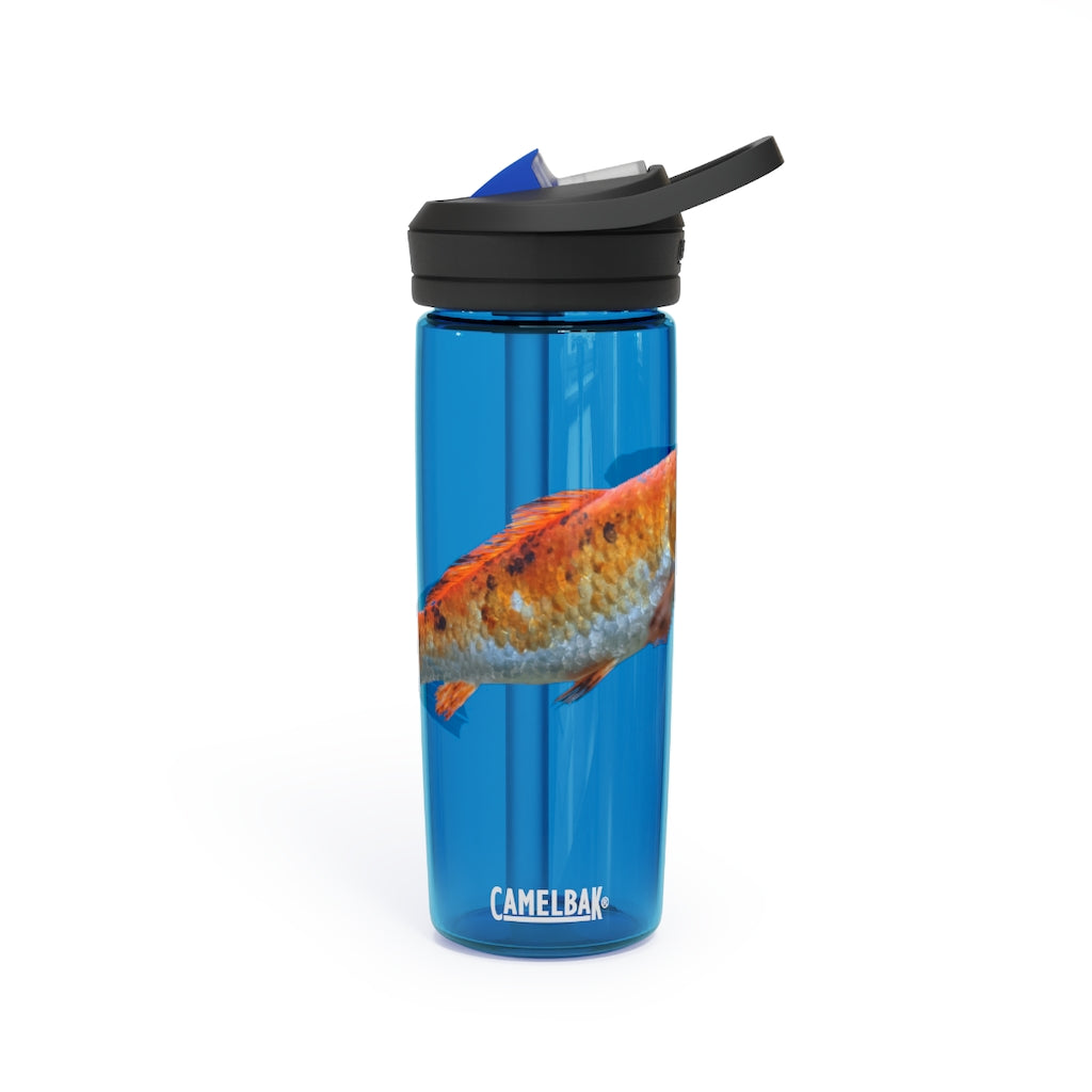 Orange Fish CamelBak Eddy® Water Bottle in 20oz and 25oz sizes, showcasing its robust design and spill-proof biting valve.