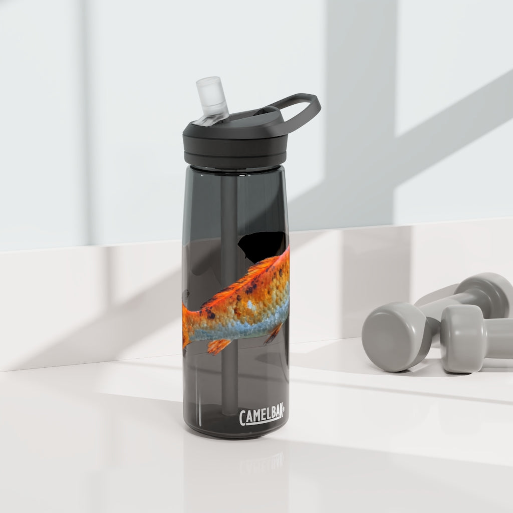 Orange Fish CamelBak Eddy® Water Bottle in 20oz and 25oz sizes, showcasing its robust design and spill-proof biting valve.