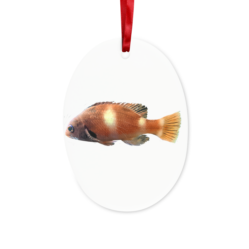 Orange Fish Ceramic Hanging Ornament with red ribbon and gold string, perfect for Christmas decoration.