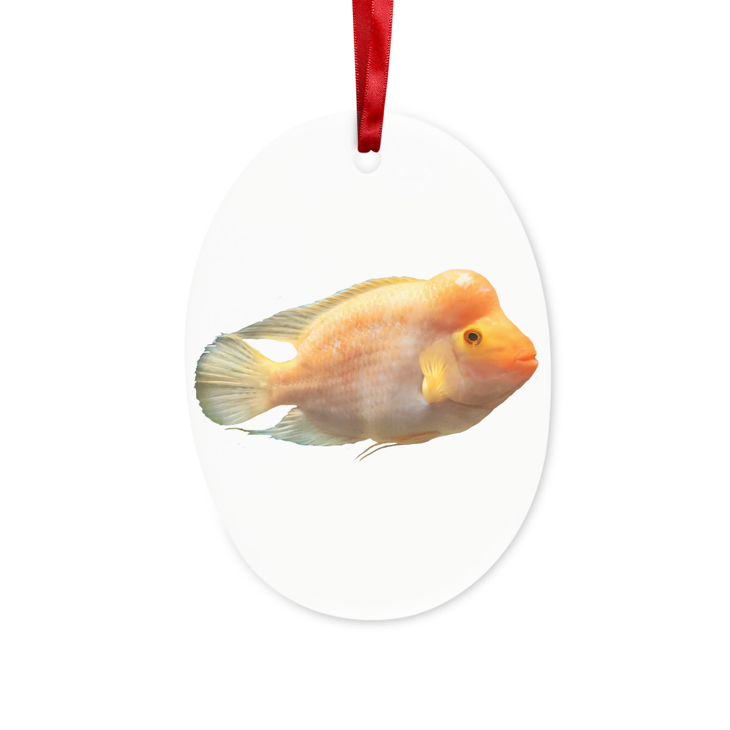 Orange Fish Ceramic Hanging Ornament with red ribbon and gold string, perfect for Christmas decoration.