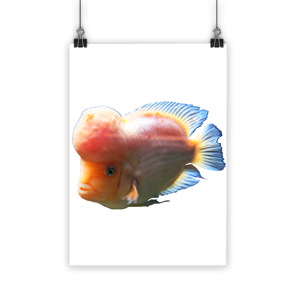 Orange Fish Classic Poster featuring vibrant colors on semi-gloss paper, ideal for indoor and outdoor display.