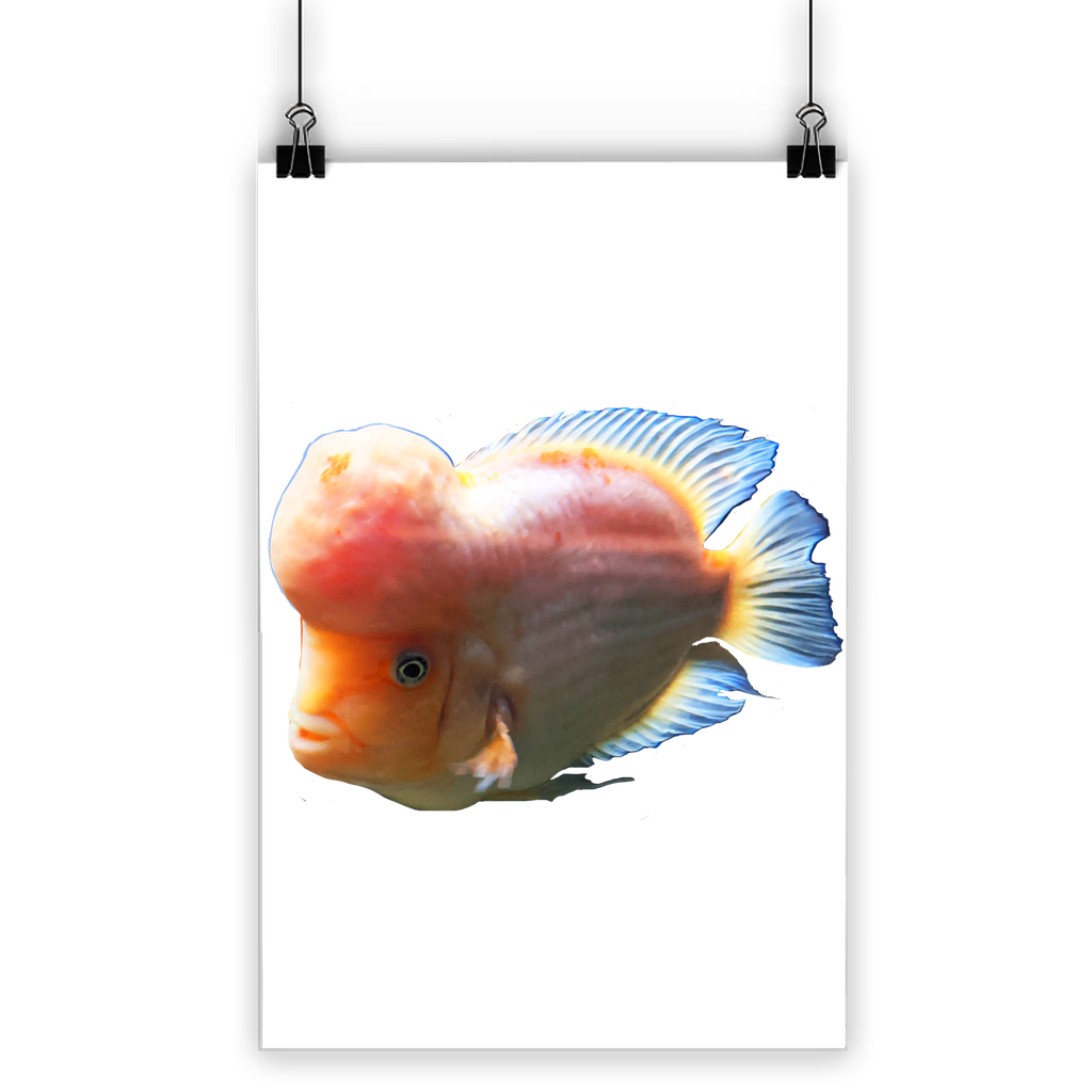 Orange Fish Classic Poster featuring vibrant colors on semi-gloss paper, ideal for indoor and outdoor display.