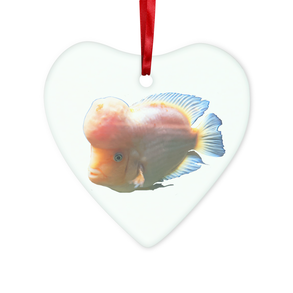 Orange Fish Glass Hanging Ornament with red ribbon and gold string, available in round and heart shapes, beautifully packaged.