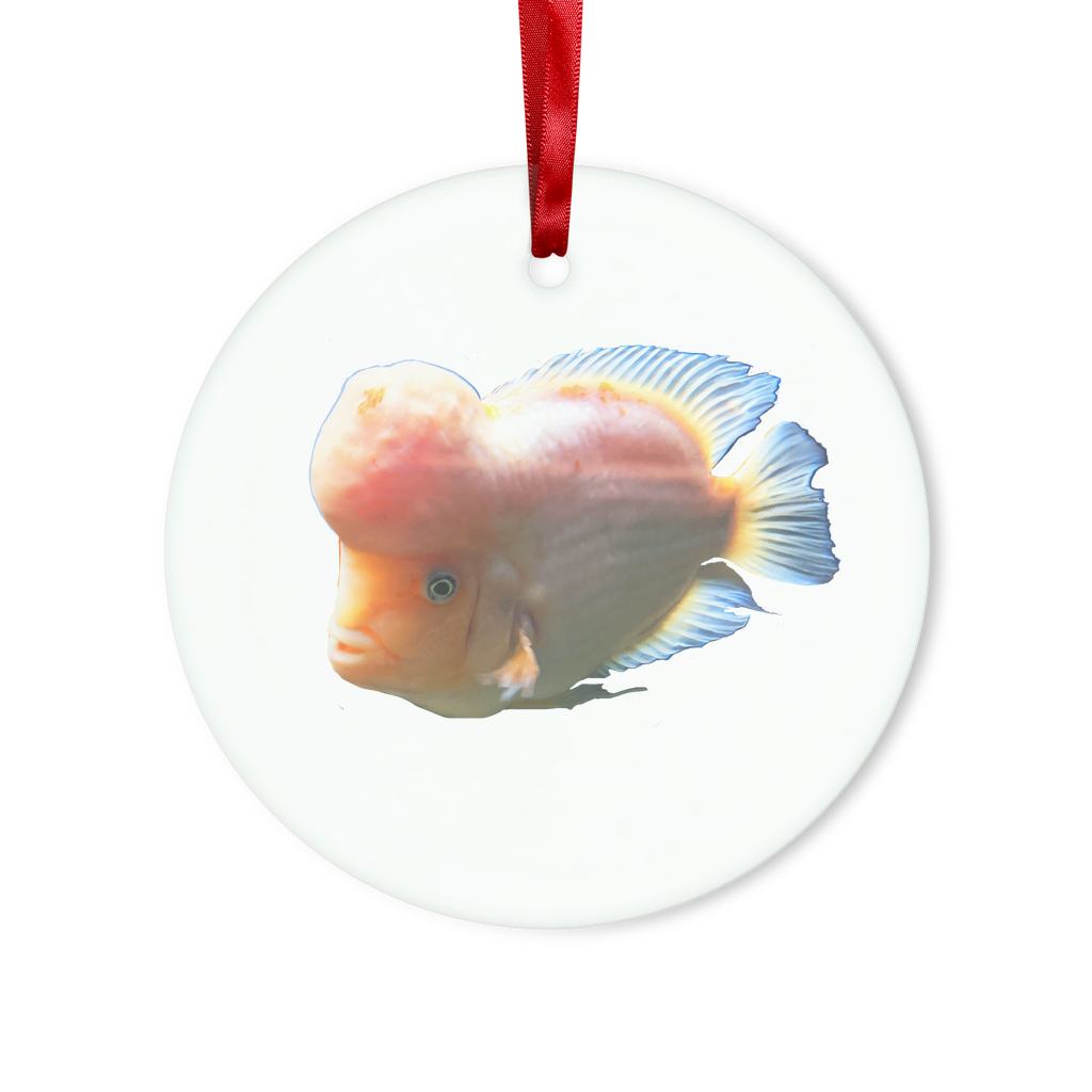 Orange Fish Glass Hanging Ornament with red ribbon and gold string, available in round and heart shapes, beautifully packaged.