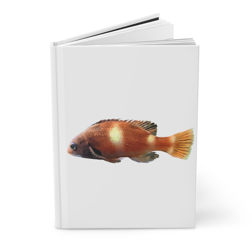 Orange Fish Hardcover Journal with matte finish, featuring customizable covers and lined pages.