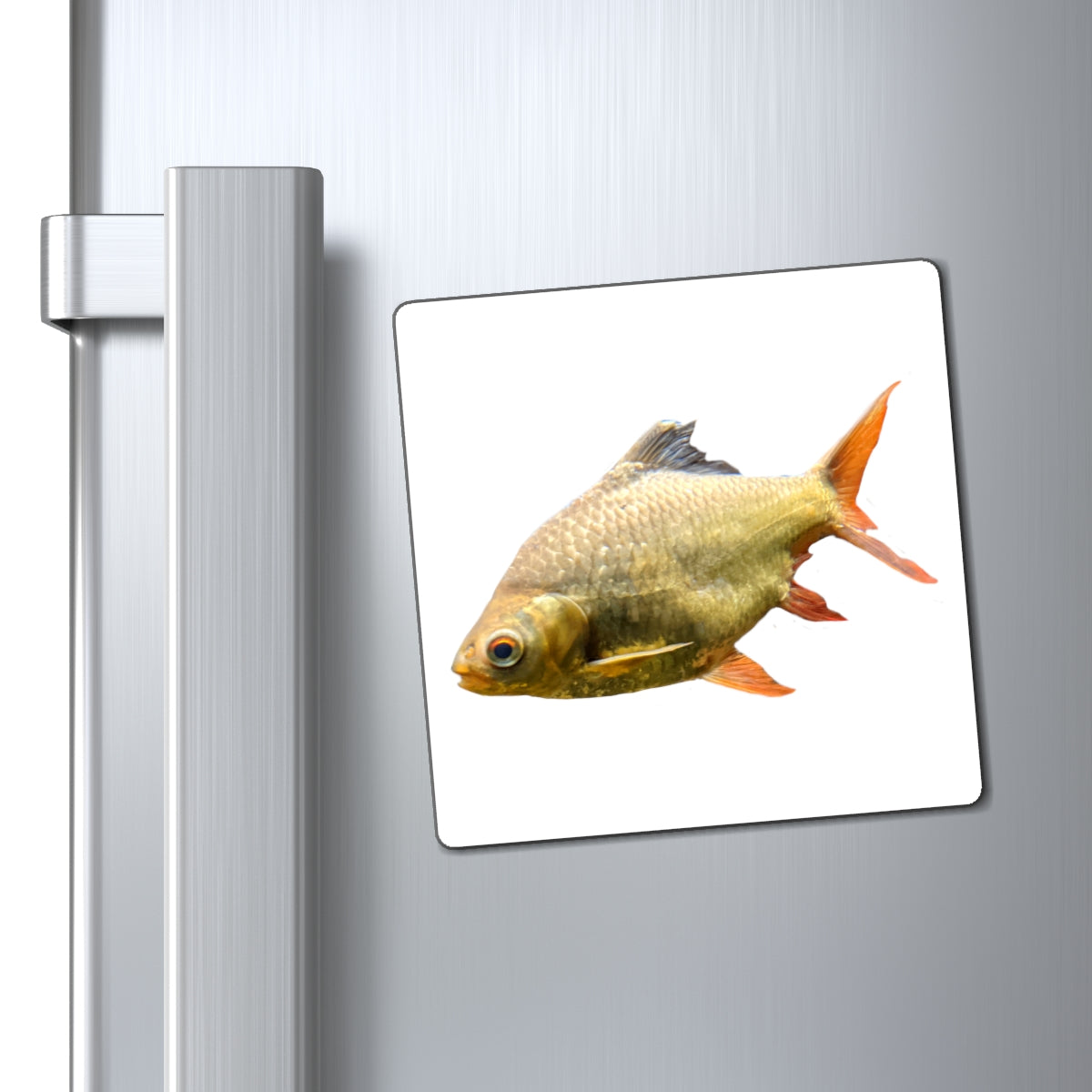 A set of vibrant orange fish magnets with a black backing, showcasing their playful design and strong hold.