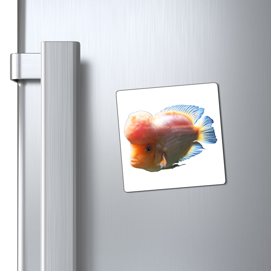 Bright orange fish-shaped magnets on a metallic surface, showcasing their vibrant color and unique design.