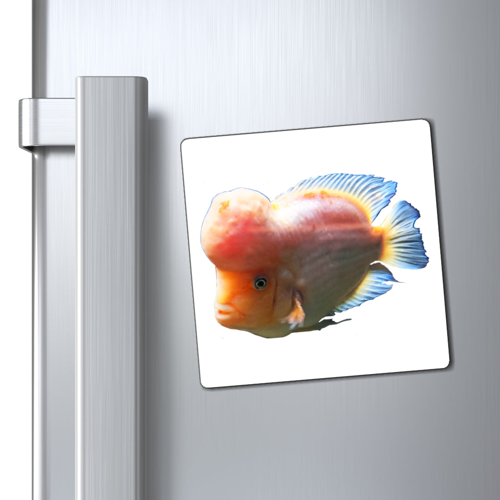 Bright orange fish-shaped magnets on a metallic surface, showcasing their vibrant color and unique design.