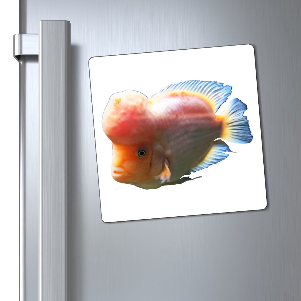 Bright orange fish-shaped magnets on a metallic surface, showcasing their vibrant color and unique design.