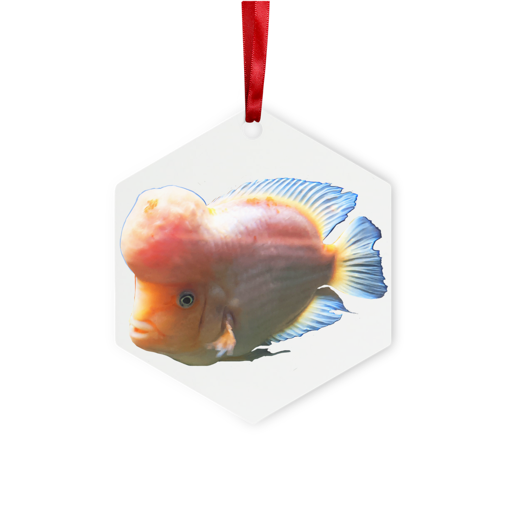 Orange Fish Metal Hanging Ornament in hexagon and star shapes, featuring a glossy white finish and red ribbon for hanging.