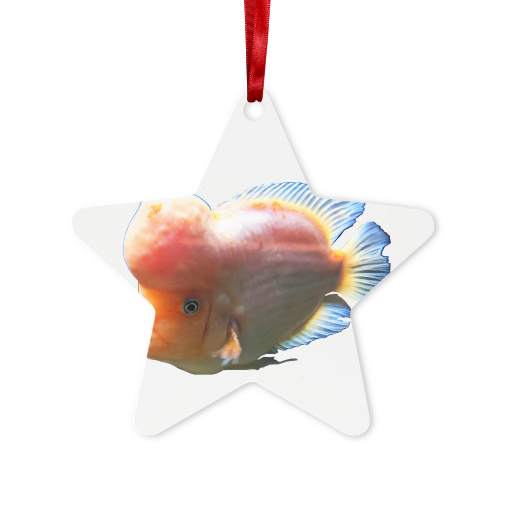 Orange Fish Metal Hanging Ornament in hexagon and star shapes, featuring a glossy white finish and red ribbon for hanging.