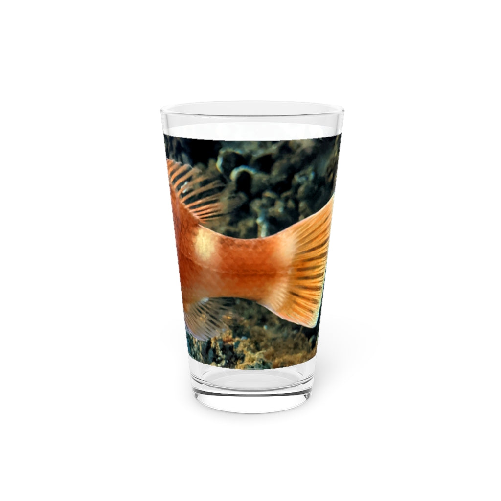 Orange Fish Pint Glass, 16oz, clear glass with custom printed design, perfect for beverages.