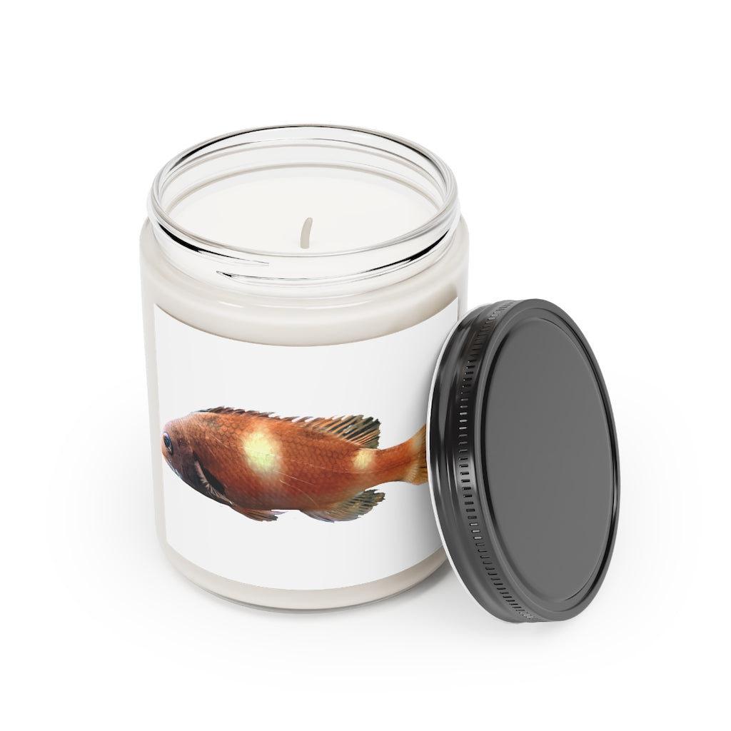 Orange Fish Scented Candle in a glass container, showcasing its vibrant color and elegant design, perfect for aromatherapy.