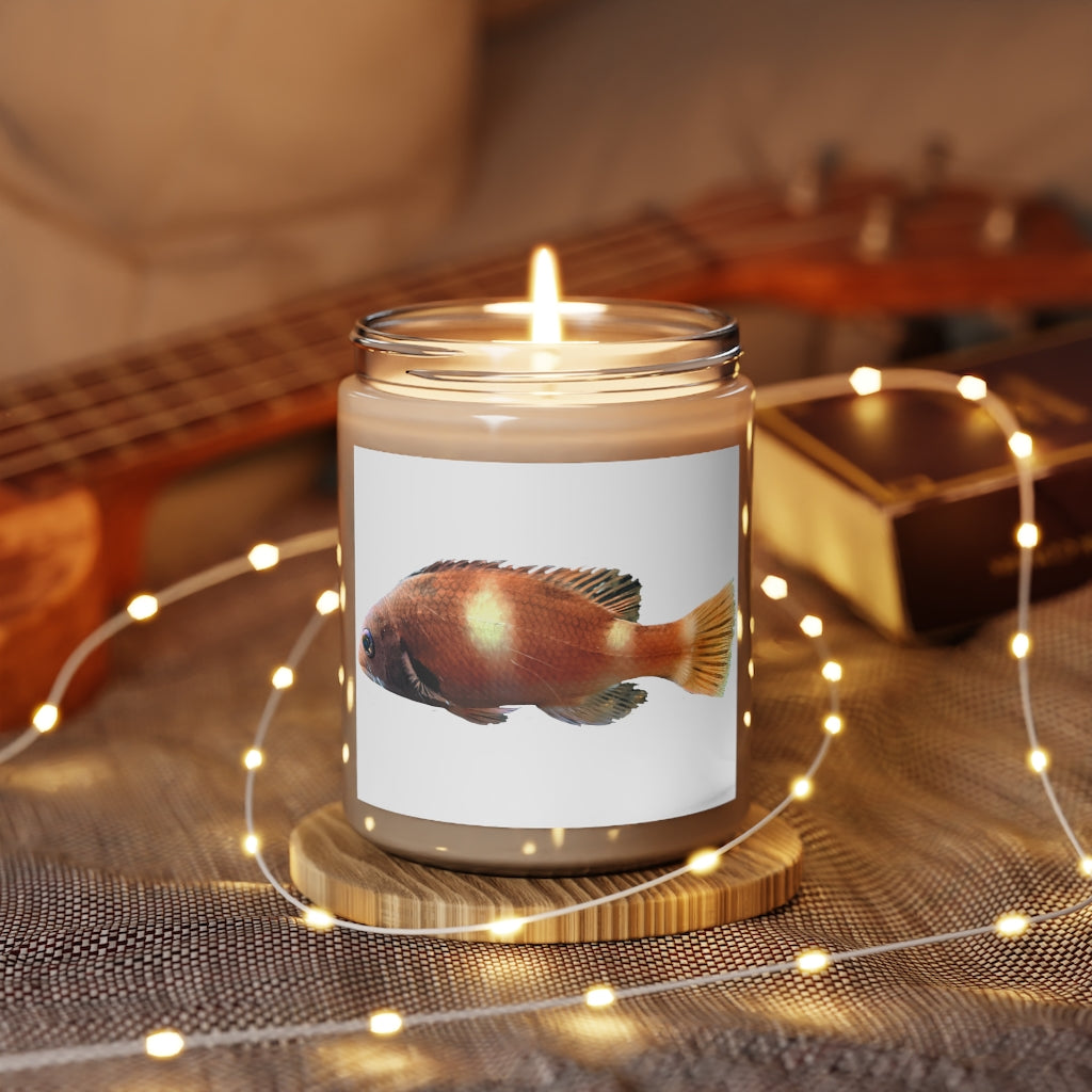 Orange Fish Scented Candle in a glass container, showcasing its vibrant color and elegant design, perfect for aromatherapy.