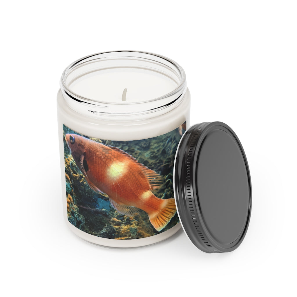 Orange Fish Scented Candle in a glass container, showcasing its vibrant color and elegant design, perfect for relaxation and aromatherapy.