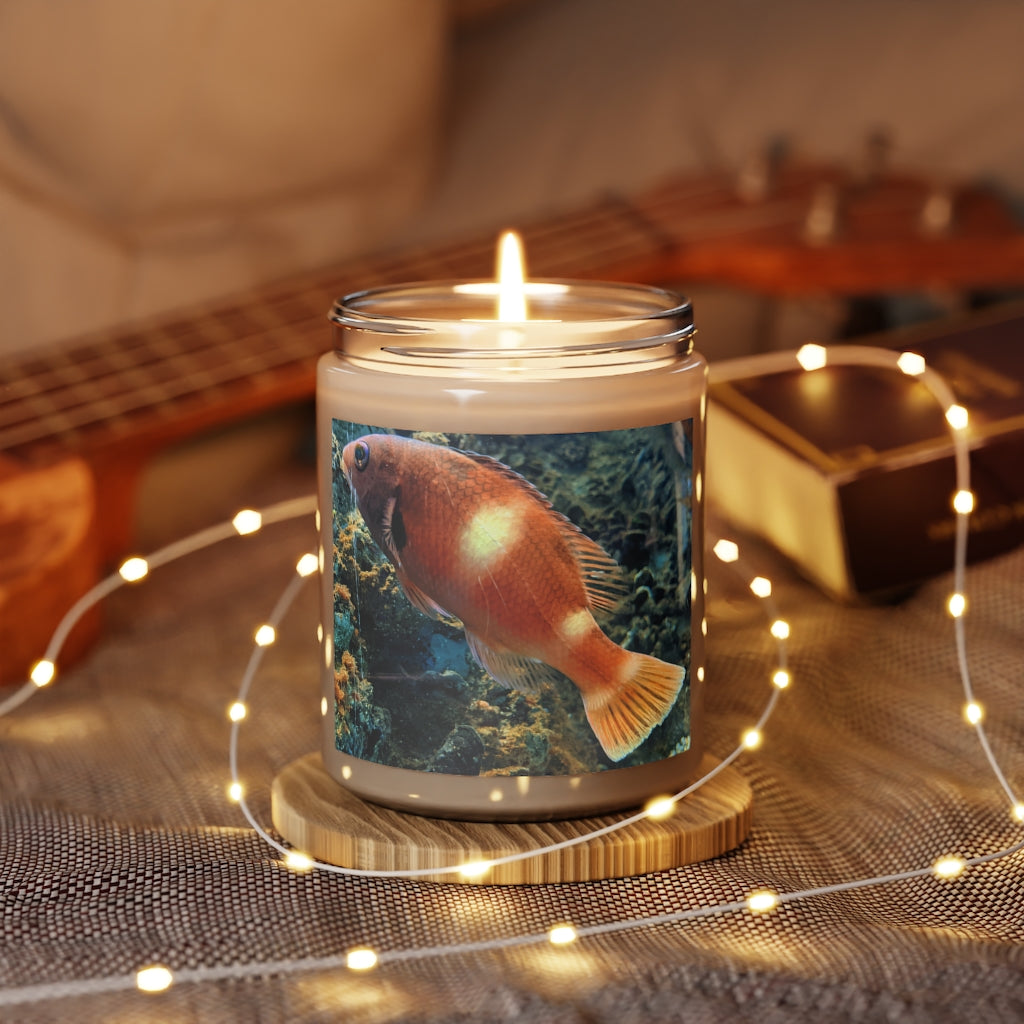 Orange Fish Scented Candle in a glass container, showcasing its vibrant color and elegant design, perfect for relaxation and aromatherapy.