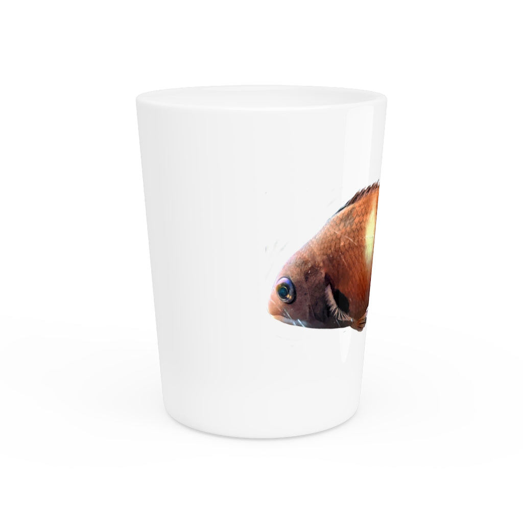 Orange Fish Shot Glass with white ceramic finish and customizable interior options, perfect for gatherings and personalized gifting.