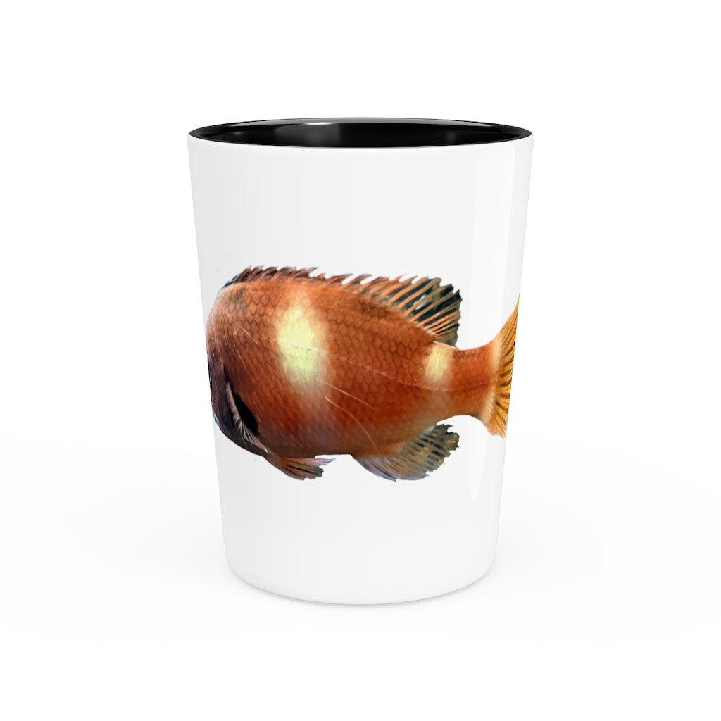 Orange Fish Shot Glass with white ceramic finish and customizable interior options, perfect for gatherings and personalized gifting.