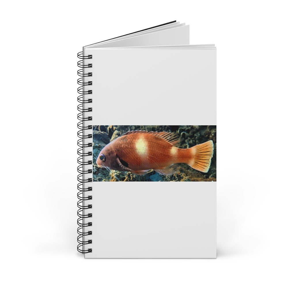 Orange Fish Spiral Journal featuring a vibrant front cover design, available in multiple styles including blank, dot grid, lined, and task manager.