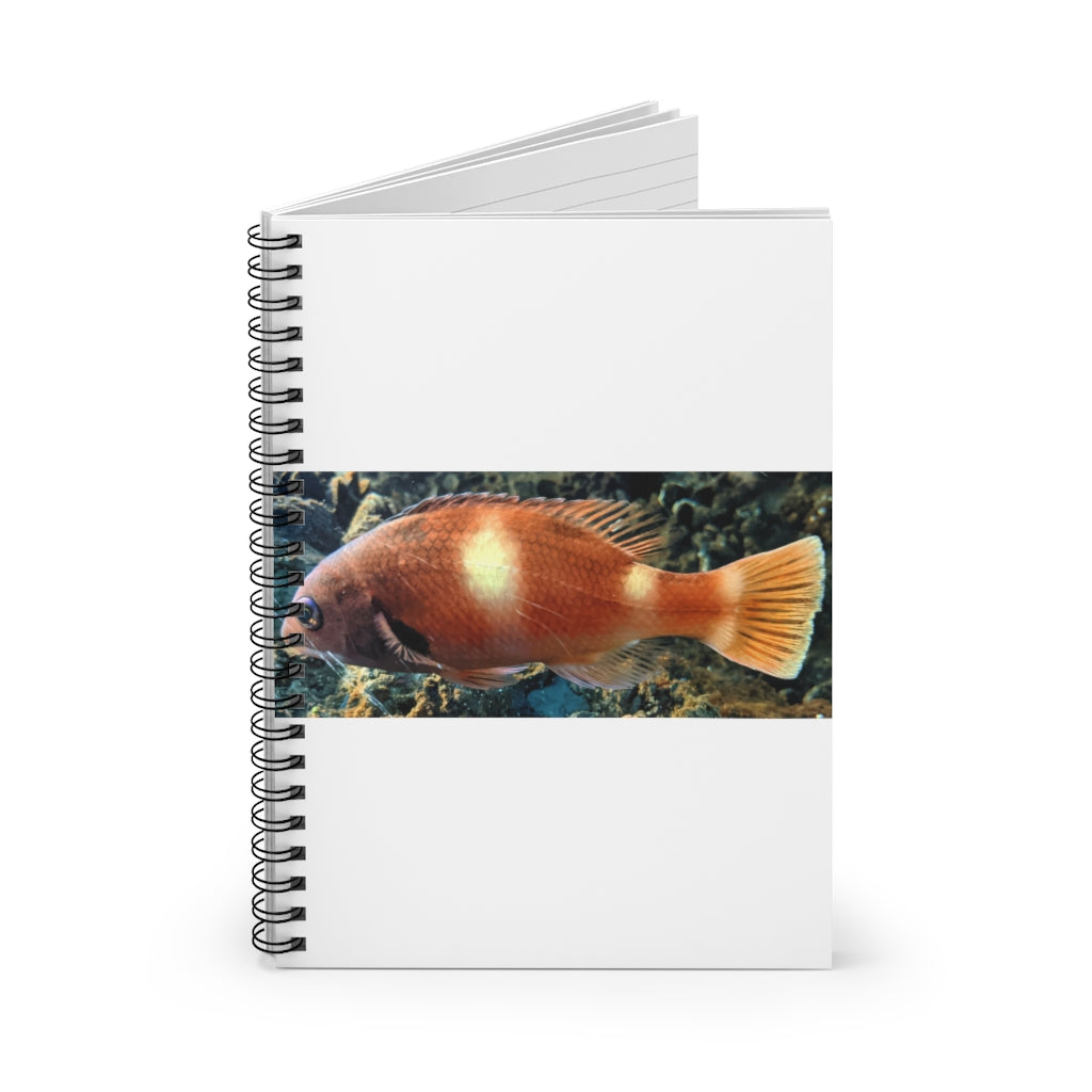 Orange Fish Spiral Notebook with ruled line pages and a vibrant cover design.