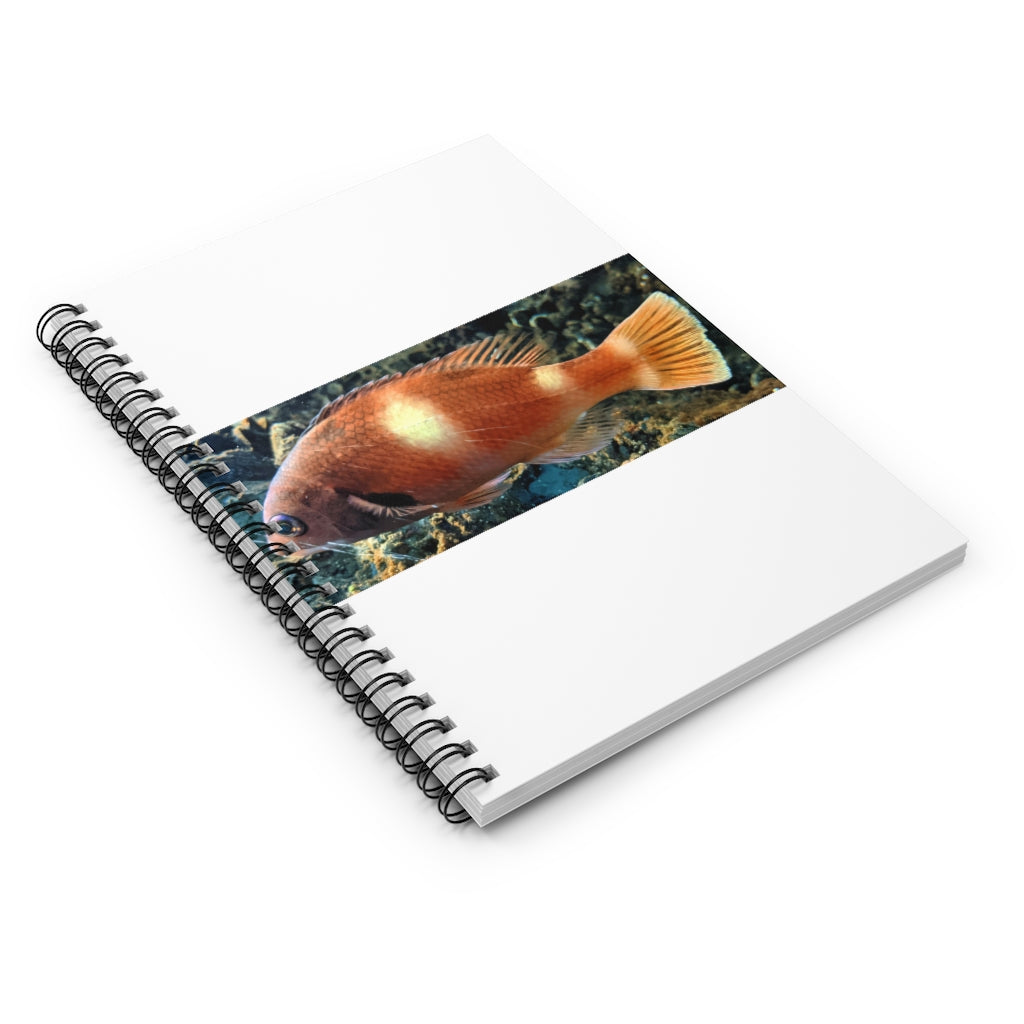 Orange Fish Spiral Notebook with ruled line pages and a vibrant cover design.