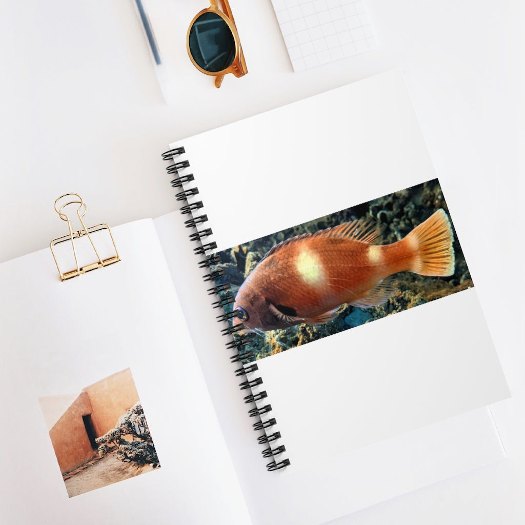 Orange Fish Spiral Notebook with ruled line pages and a vibrant cover design.