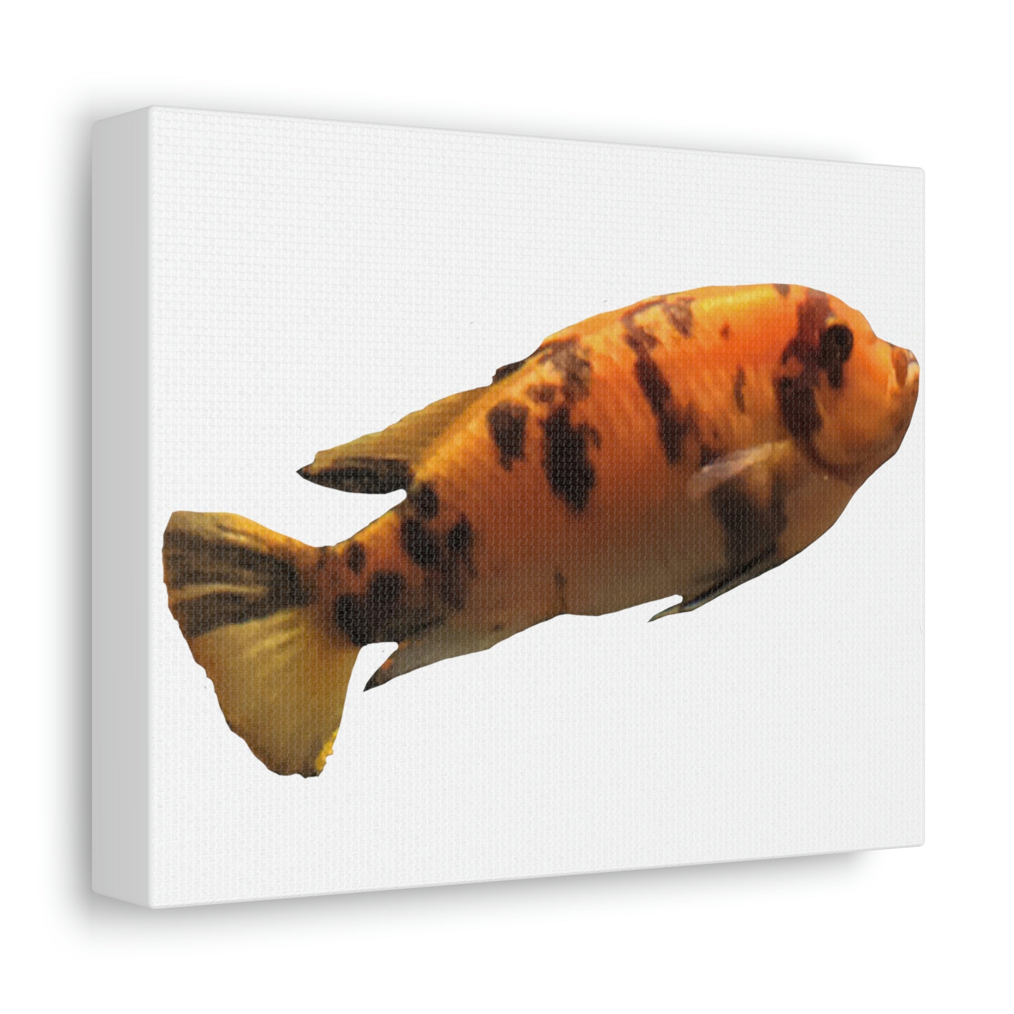 A vibrant orange fish printed on a premium stretched canvas, framed with sturdy wood, perfect for indoor decoration.